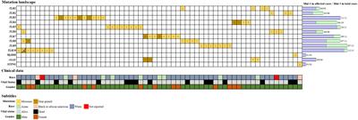 Mutations in genes encoding innate immune molecules identified in bladder cancer samples as potential biomarkers for immunotherapy with BCG and agonists